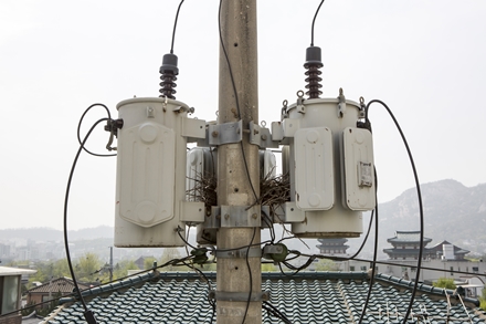 케이이에스 PC 이미지 1941822